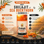 Shilajit Sea Buckthorn Gummies